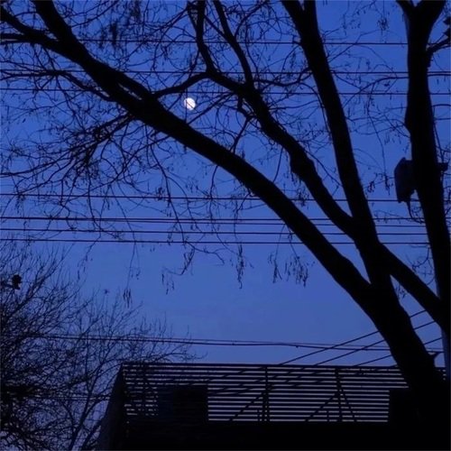 街角的铃兰（养生馆茶楼音乐） cover art