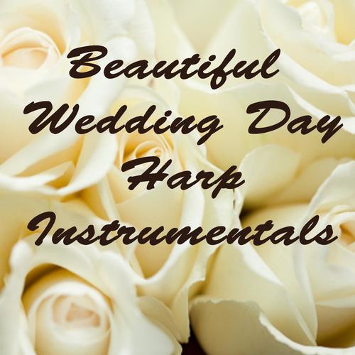 Instrumental Wedding Music Zone