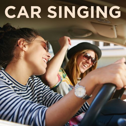 Car Singing_poster_image