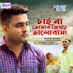 Chai Na Tomar Mittha Valobasha