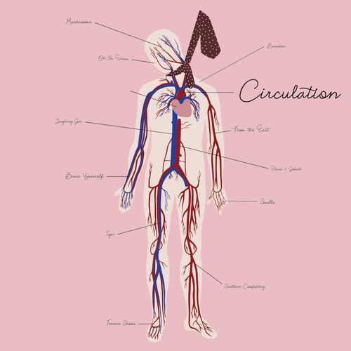 Brandon cover art