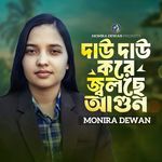 Dau Dau Kore Jolche Agun