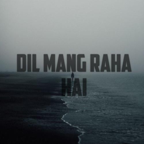 Dil Mang Raha Hai