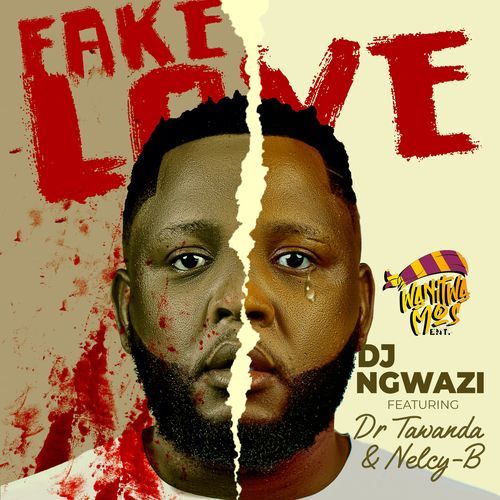 Fake Love (feat. Dr Tawanda & Nelcy-B)_poster_image