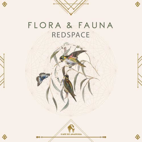 Flora & Fauna