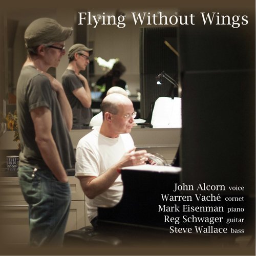 Flying Without Wings_poster_image