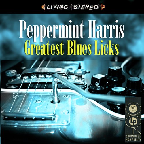 Greatest Blues Licks