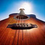 The Last Light of the Day