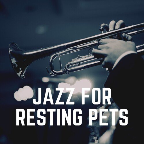 Jazz for Cats cover art