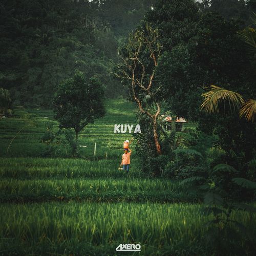 Kuya