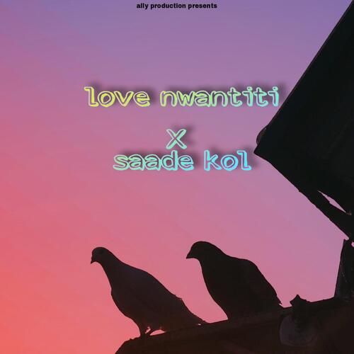 Love Nwantiti X Saade Kol (Punjabi Version)_poster_image