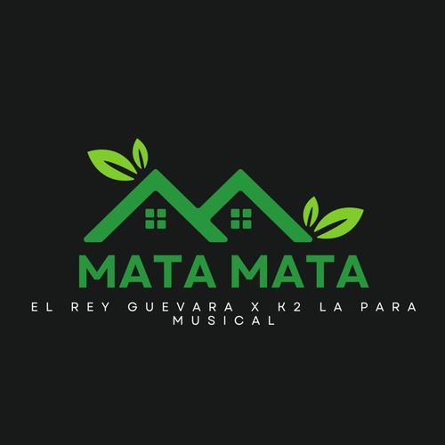 Mata Mata_poster_image