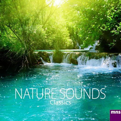 Nature Sounds Classics