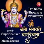 Om Namo Bhagavate Vasudevaya