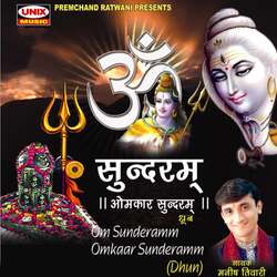 Om Sunderam Omkar Sunderam-A18-eCVSAWE