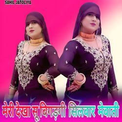 मेरी देखा सू बिगड़गी  सिलवार  मेवाती