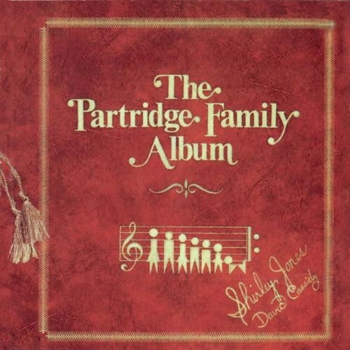 Partridge Family Album_poster_image