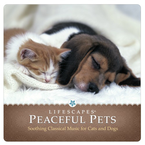Peaceful Pets