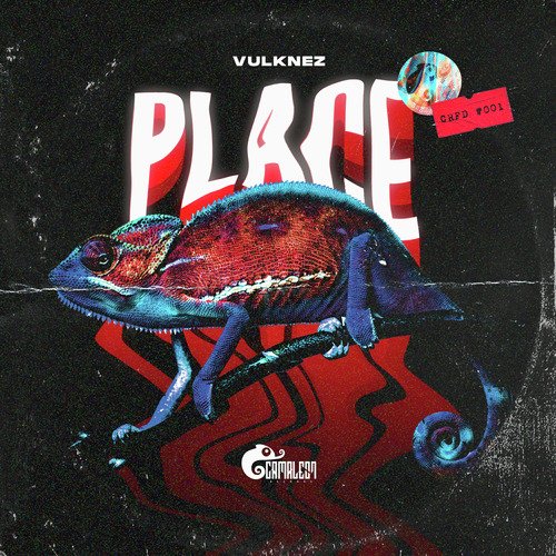 Place cover art