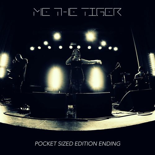 Pocket Sized Edition Ending (Jonas Remix)