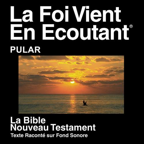 Pular De Nouveau Testament (Dramatized) - Pular Bible
