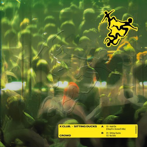 CROWD003: Sitting Ducks