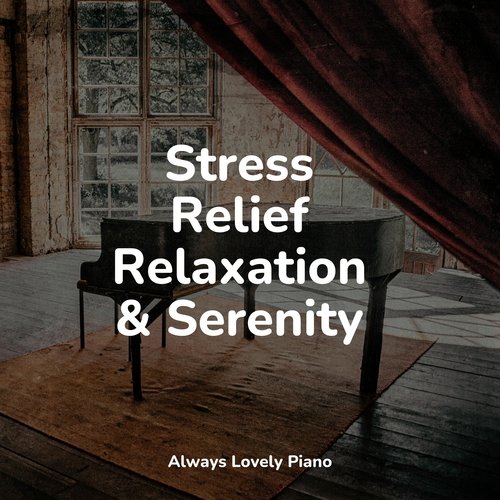 Stress Relief Relaxation & Serenity