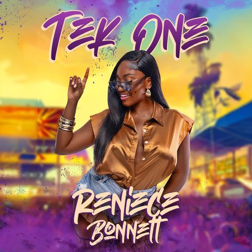 Tek One cover art