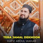 Tera Jamal Dekhoon
