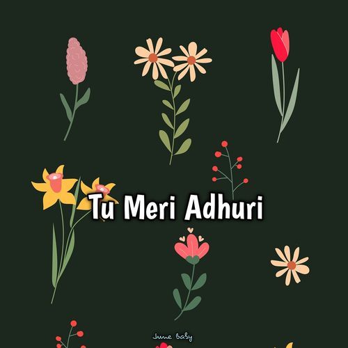 Tu Meri Adhuri