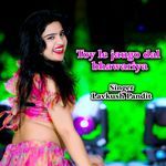 toy le jaugo dal bhawariya