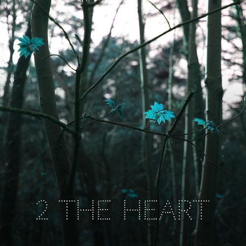 2 the heart