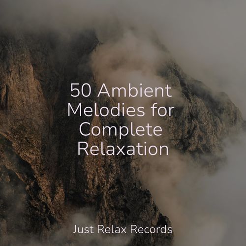 50 Ambient Melodies for Complete Relaxation_poster_image