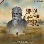 Amare Tumi Aushesh Korechho