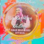 Baj Baj Meri Dholkiye