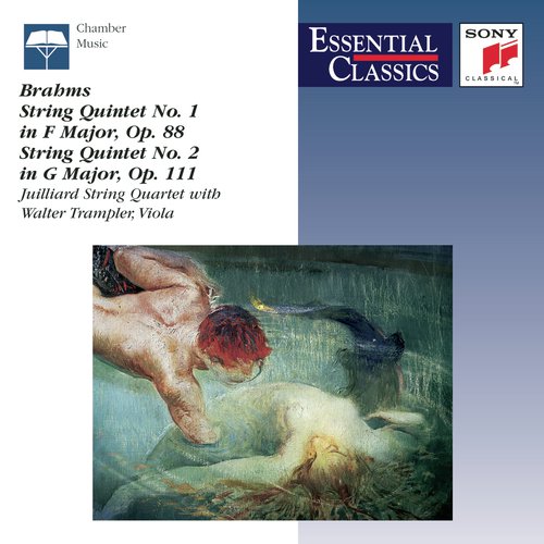 String Quintet No. 1 in F Major, Op. 88: III. Finale. Allegro energico - Presto