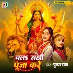 Chala Sakhi Puja Kare