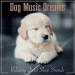 Dog Music Dreams: Relaxing Deep Sleep Sounds