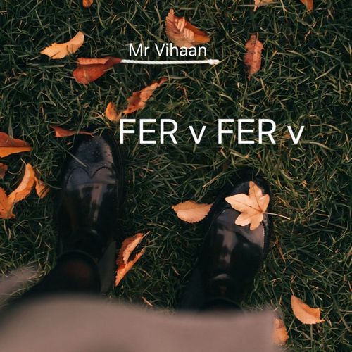 Fer v Fer v