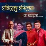 Hariyeche Hodishera artwork