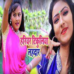 Hariyer Tikuliya Lehdaar