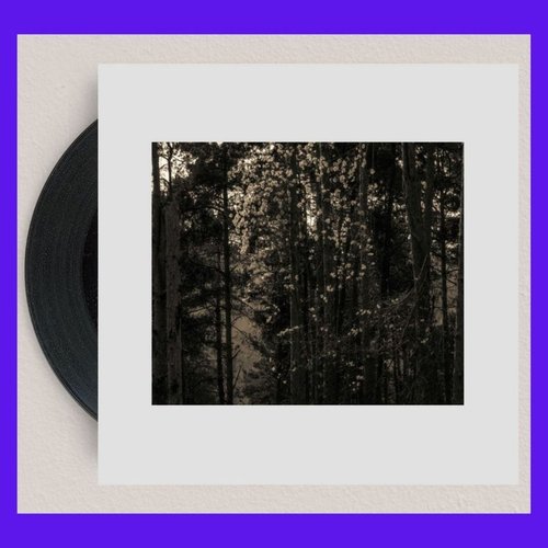Navigating the swamp (Squaric Remix) cover art
