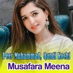 Musafara Meena