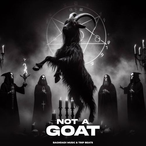 Not A Goat_poster_image