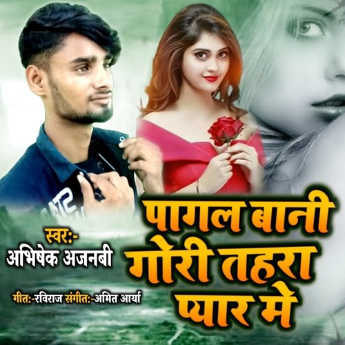 Pagal Bani Tahara Pyar Me