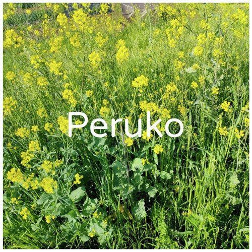 Keiken cover art