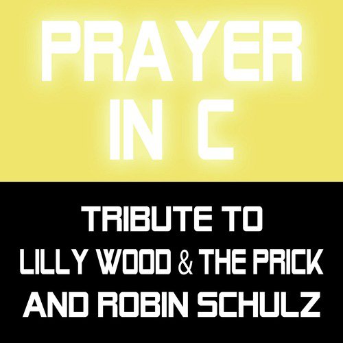 Tribute to Lilly Wood & The Prick and Robin Schulz