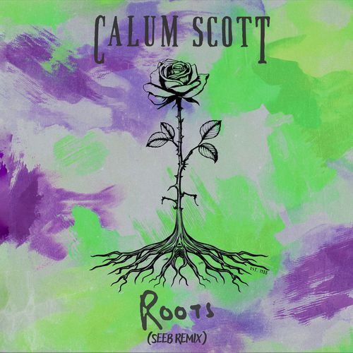 Roots (Seeb Remix)_poster_image