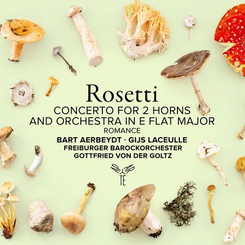 Rosetti: Concerto for 2 Horns and Orchestra in E-Flat Major, RWV C56Q: II. Romance. Adagio_poster_image