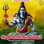 Shambo Shankara Nee Namamune artwork